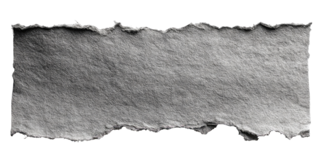Ripped gray paper strip