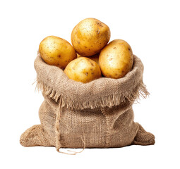 A burlap sack filled with several fresh potatoes