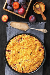 Crumb topped Plum Pie in a baking dish