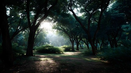 Obraz premium Sunlight streams through a dense forest canopy illuminating a tranquil grove with a dirt path