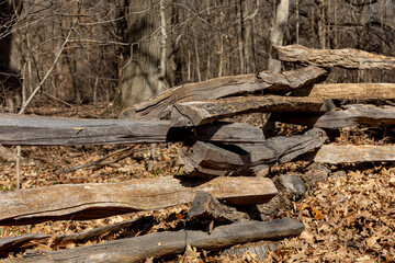 Weathered split rail fence around forest. Rural landscape, split-rail fence construction, parks and nature conservation concept
