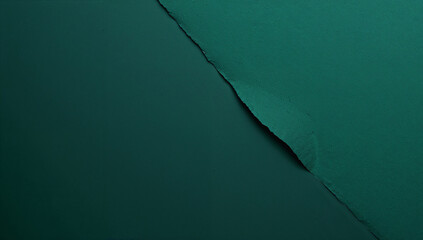 Textured Dark Green Paper with Torn Edge Detail