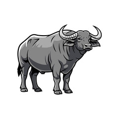 buffalo with a white background