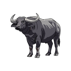 buffalo with a white background