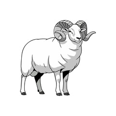vector illustration of a sheep