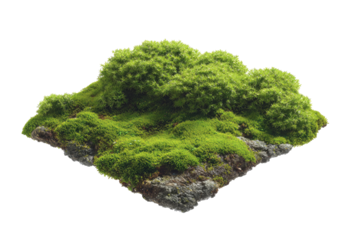A verdant moss island, shaped like a flattened, irregular square,  is isolated against a black background.  Dense, bright green moss covers the surface, with some shadowed areas visible. 