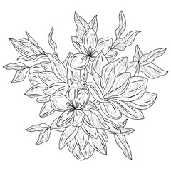 Magnolia flowers.Coloring book antistress for children and adults.