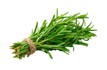 Fresh rosemary sprigs tied with twine