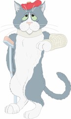 Funny Sick Cat 