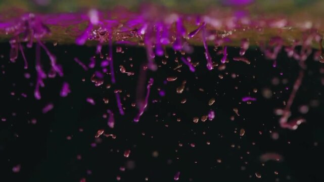 splash transition effect for professional video production, detailed and smooth, perfect for any genre. Easy to integrate into Adobe Premiere or After Effects