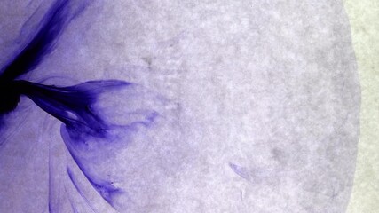 Smooth splash transition with soft liquid curves, great for beauty content, lifestyle vlogs, or elegant presentations. Delivers a gentle and flowing aesthetic