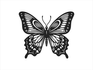 butterfly vector logo design