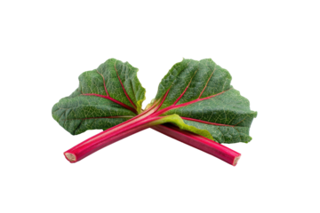 Two vibrant red stalks of rhubarb, overlapping, with deep green leaves