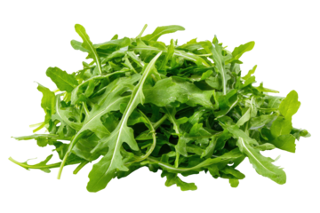 Fresh arugula leaves piled high (2)