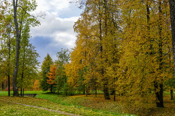 Autumn Landscape with Golden Trees
