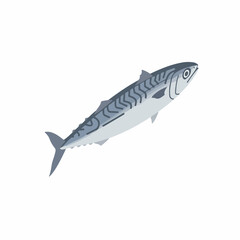Obraz premium Flat Realistic Atlantic Mackerel Illustration Seafood Culinary Dish Ingredient