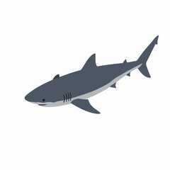Flat Design Simple Great White Shark Marine Animal Aquatic Creature