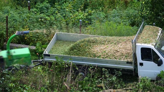 The woodchipper machine breaks tree branches into smaller woodchips and loads them into the back of the truck. Slow motion.