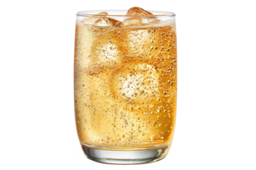 Tall glass of fizzy amber beverage with ice cubes isolated on a transparent background drink