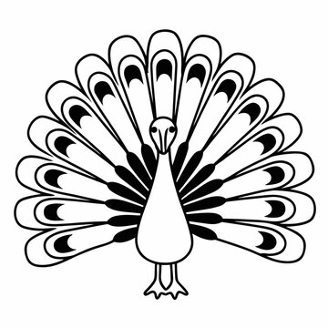 vector illustration of a pecock