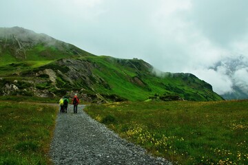 Austrian Alps - view of the mount Kriegerhorn in the Lechtal Alps