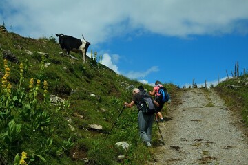 Austrian Alps - view of tourists on the way near Bürstegg in the Lechtal Alps