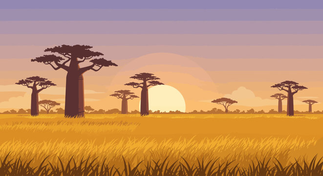 Beautiful vector illustration of an African savanna landscape with baobab trees at sunset.