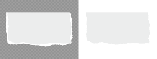 Torn notebook page or scrap note with damaged border. Torn paper strips set.White ripped paper collection. Set of white torn or ripped paper sheet. Sticky newspaper clip art. Set of torn paper sheets.