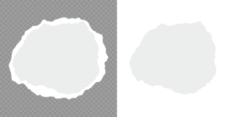 Vector illustration. Ripped paper strips collection. Sticky newspaper clip art. Torn notebook page or scrap note with damaged border. Set of torn paper sheets. White ripped paper strips collection.