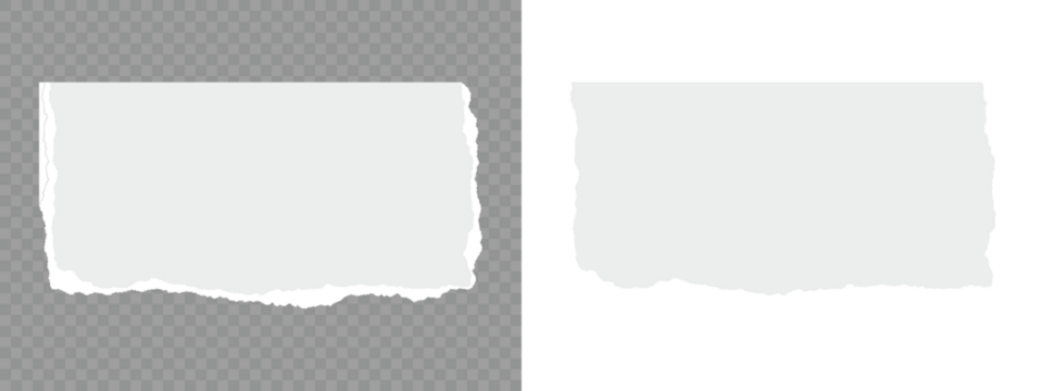 Torn notebook page or scrap note with damaged border. Torn paper strips set.White ripped paper collection. Set of white torn or ripped paper sheet. Sticky newspaper clip art. Set of torn paper sheets.