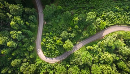 Obraz premium bird s eye perspective of a verdant woodland with a serpentine path highlighting the splendor of nature and sustainable principles through an esg approach
