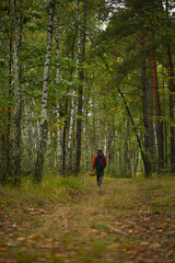 Mushroom Hunter Walking Into the Autumn Forest