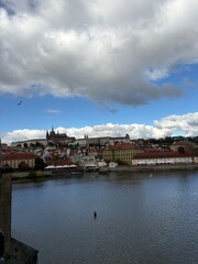 Fototapeta premium view of the city of kotor