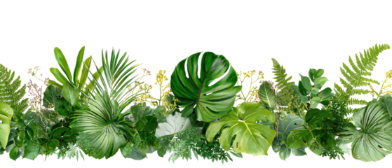 Lush Tropical Foliage Border