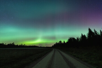 A spectacular display of the Aurora Borealis with vibrant green and purple colors over a rural road in the Estonian countryside.