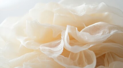 Fototapeta premium Close up of raw silk threads showing texture and detail