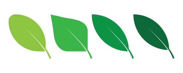 Green leaf icons set. Leaves icon on isolated background. Collection green leaf. Elements design for natural, eco, vegan, bio labels.