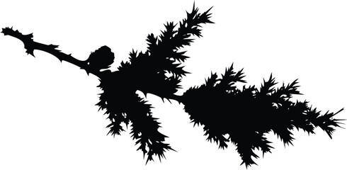 Silhouette of a coniferous tree branch with needles and a cone vector illustration for nature-themed designs isolated on white