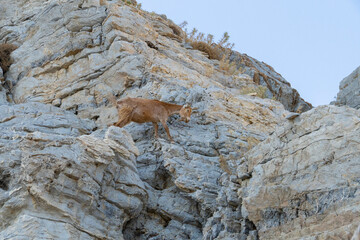 Kos Travel Summer Holidays Sunset Sunrise 
