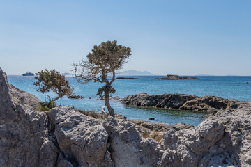 Kos_Aug 2025 (1568).ARW