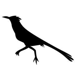 Roadrunner Bird Silhouette 