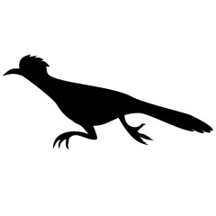 Roadrunner Bird Silhouette 