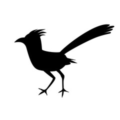 Roadrunner Bird Silhouette 