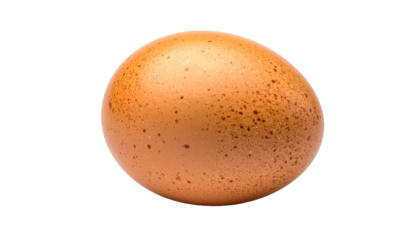 Close-up of a single brown egg with speckled shell against a black background