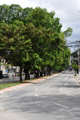 Naklejka premium Pacaembu avenue 