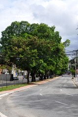 Pacaembu avenue 