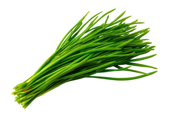 Close-up of a bunch of fresh green stalks