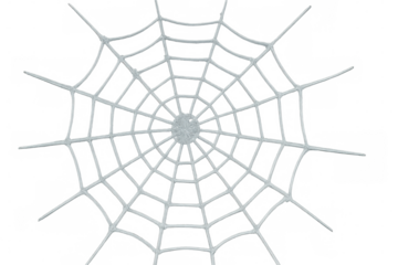 White spider web pattern with intricate threads on a transparent background, perfect for halloween and danger concepts