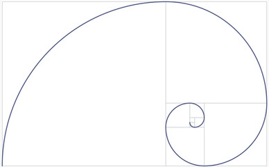 Fibonacci spiral grid. vector illustration
