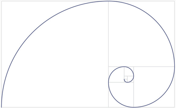Fibonacci spiral grid. vector illustration